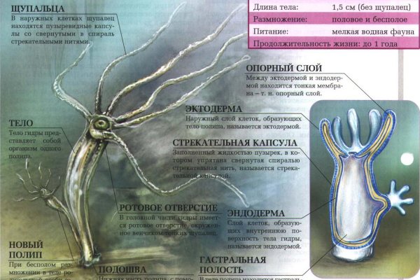 Кракен перестал работать