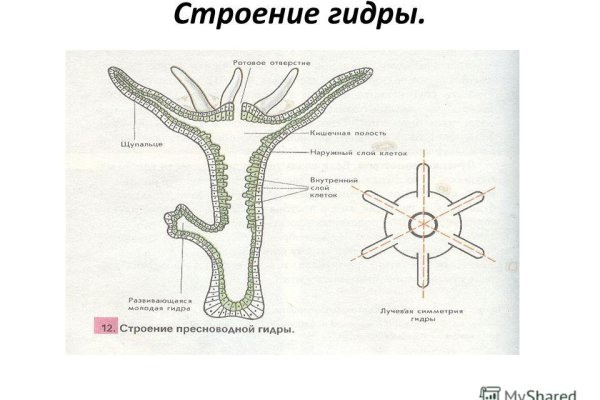 Кракен ссылки онлайн