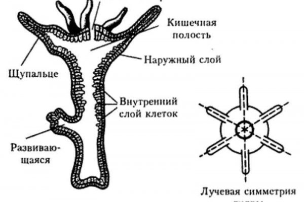 Kra32cc