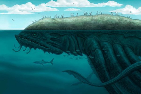 Kraken zerkalo официальный сайт
