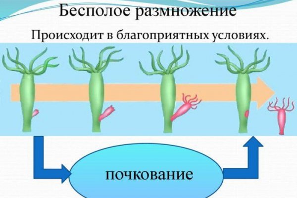 Kraken магазин ссылка