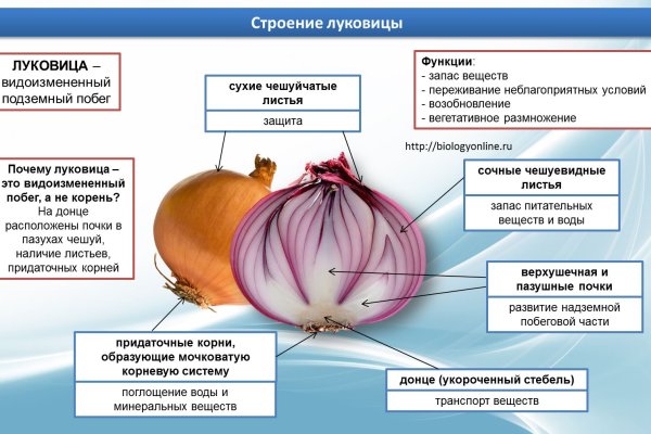 Кракен зеркало рабочее на сегодня